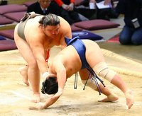 Mitoryu ensures promotion to Juryo (c. 2017)