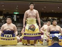 Tokunomusashi during his time in Maezumo (c. 2016)