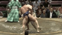 Kotoyutaka's Fighting Style