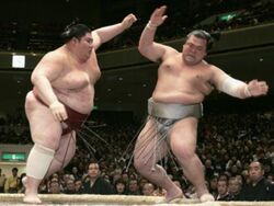 Sumo Wrestling, Yamamotoyama Ryūta a.k.a. Yama. He is the h…