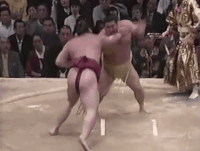 Gojoro's FIghting Style