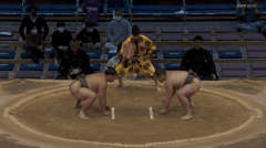 Kirinofuji's Fighting Style 2