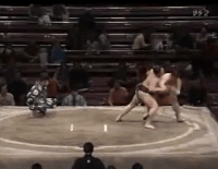 Fukunohana 2's Fighting Style