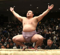 Kotoeko prepares for his upcoming match (c. 2020)
