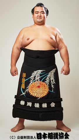 Kotoshogiku Kazuhiro | Sumowrestling Wiki | Fandom