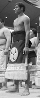 Yashinoshima during his time in maezumo (c. 1974)