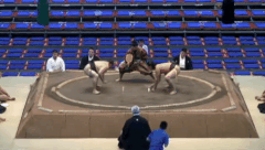 Hokutoryu's Fighting Style