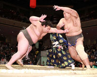 Oshoryu wins his 23rd consecutive bout (c. 2020)