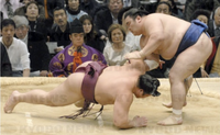 Tamakasuga slaps down and defeats Kasuganishiki (c. 2007)
