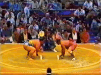 Wakahayato's Fighting Style 2