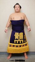 Higonojo Masakazu - 2014 (Retrieved from the JSA)