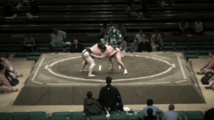 Hoshizakura's Fighting Style