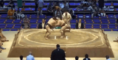 Tamadaiki's Fighting Style