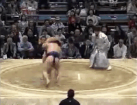 Shirononami's Fighting Style