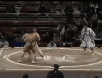 Daishoyu's Fighting Style
