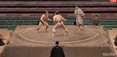 Chiyodaigo's Fighting Style