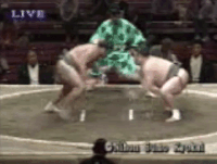 Fujiryu's Fighting Style