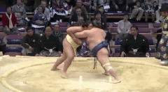 Wakanosato's Fighting Style