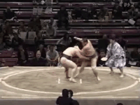Daitensho's Fighting Style