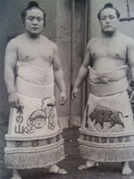 Tsunenoyama with his younger brother Washuyama (c. 1978)