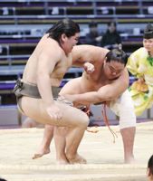 Hatooka defeats Kojikara to win the Jonokuchi Yusho (c. 2018)