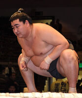 Hoshizakura prepares for his upcoming match (c. 2010)