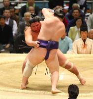 Nishikigi defeats Seiro (c. 2016)