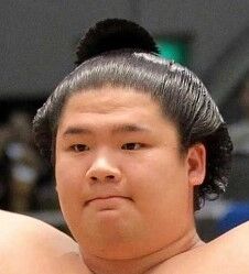 sumo topknot