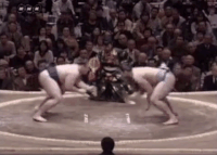 Roho's Fighting Style