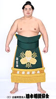 Nishikifuji Ryusei - 2024 (Retrieved from the JSA)