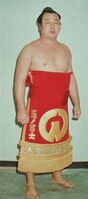 Tamanofuji poses with his kesho-mawashi (c. 1976)