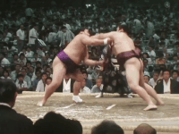 Kakureizan's Fighting Style 1