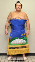 Kotomisen Koki - 2013 (Retrieved from the Nihon Sumo Kyokai)
