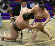 Kotoyuki5