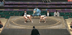Nikko's Fighting Style