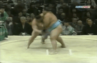 Daizen's Fighting Style