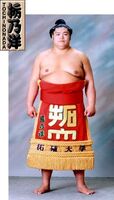 Tochinonada Taiichi - 2001 (Retrieved from the JSA)