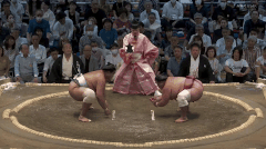 Hokuseiho's Fighting Style 2