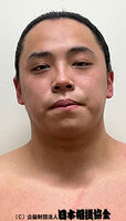 Kotoeiho Hiroki - 2024 (Retrieved from the JSA)