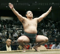 Kotoeko during his time in the unsalaried ranks (c. 2014)
