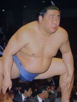 Hoshiiwato (c. 1991)