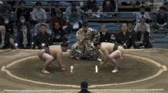 Dewanoryu's Fighting Style 2