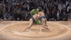 Kotokasuga's Fighting Style