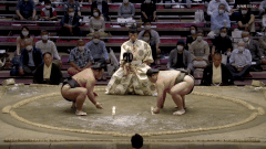Shohozan's Fighting Style 3