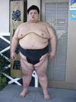 Isamizuki joins Sakaigawa stable (c. 2008)