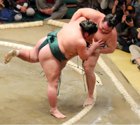 Nishikigi defeats Yokozuna Kakuryu (c. 2019)