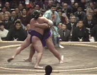 Aobajo's Fighting Style 2