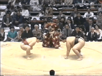 Asahisato's Fighting Style