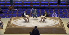 Enshunada's Fighting Style