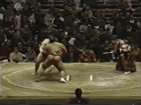 Ryudo's Fighting Style 2